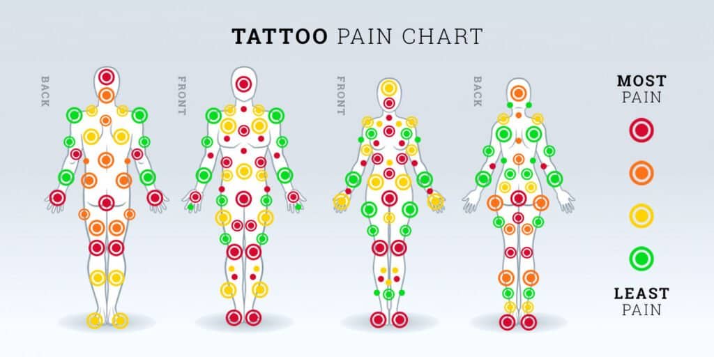 Does it Hurt to Do a Tattoo Tattoo Pain Chart  iNKPPL